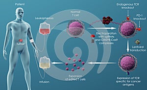 Gene editing of T cells in cancer immunotherapy