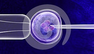 Gene Editing In Vitro photo