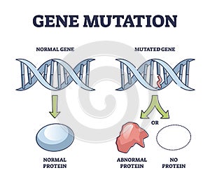 Gene mutation models comparison with abnormal helix protein outline diagram photo