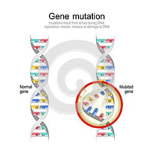 Genetic mutation Normal DNA and helix with Mutated gene photo