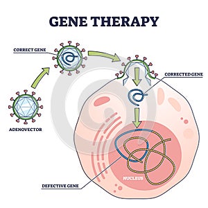 Gene therapy medical treatment and correct genome replacement outline diagram