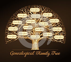 Genealogical family tree. Dynasty. Vector illustration