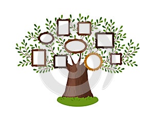 Genealogical family tree with picture frames. Pedigree, genealogy, lineage, dynasty concept. Vector illustration