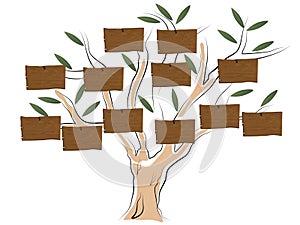 Genealogical tree