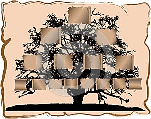 Genealogical tree
