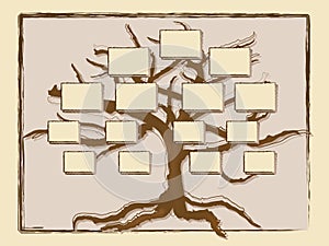 Genealogical tree