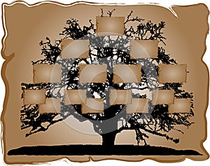 Genealogical tree