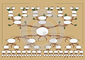 The genealogical tree