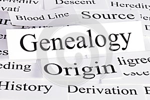 Genealogy Concept photo