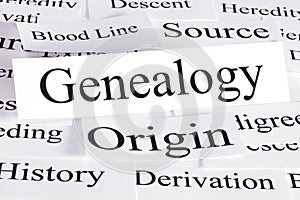 Genealogy Concept
