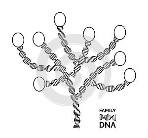 Genealogy tree for dna ancestors illustration isolated photo