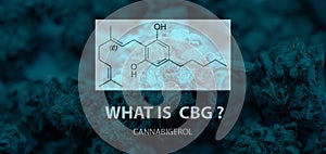 General cannabinoid - cannabigerol CBG. Geranyl pyrophosphate and Olivetolic acid in marijuana buds