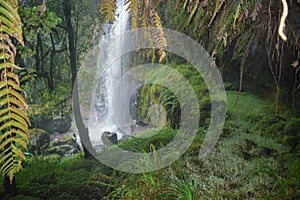 General China waterfall, Aberdare Ranges, Kenya