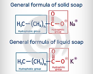 General formula of solid  and liquid soap molecule. RCOONa, RCOOK. Structural chemical formula