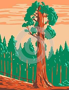 The General Grant Tree a Giant Sequoia Sequoiadendron Giganteum in Kings Canyon National Park California WPA Poster Art photo