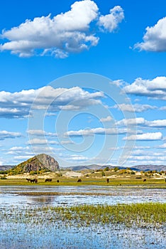 The general Lake in WulanBu all grassland ancient battlefield