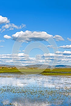 The general Lake in WulanBu all grassland ancient battlefield