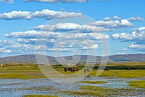 The general Lake in WulanBu all grassland ancient battlefield