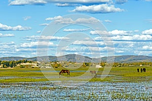 The general Lake in WulanBu all grassland ancient battlefield