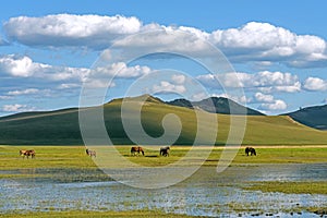 The general Lake in WulanBu all grassland ancient battlefield