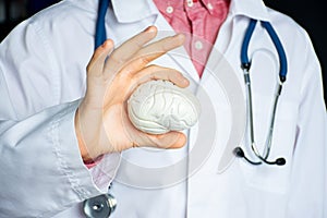 General practitioner or neurologist holding anatomical model of human brain. Concept photo in neurology, psychiatry, psychotherapy