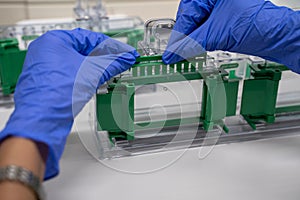 The general process preparation for protein levels detection is using western blot analysis. This method is involved in Protein
