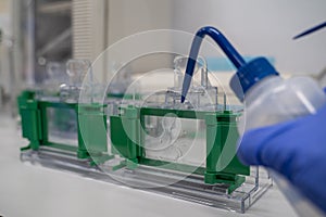 The general process preparation for protein levels detection is using western blot analysis. This method is involved in Protein