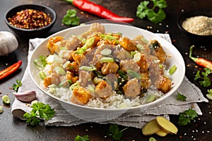 General Tso Tofu with rice, green onion and pak choi. Asian Vegan Food