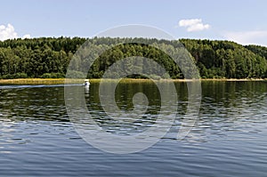 General view of the artificial Vlasina mountain lake surrounded by a pine tree forest in summer