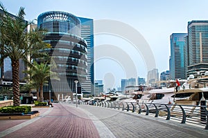 General view of Dubai Marina