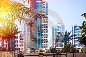 General view of Dubai Marina