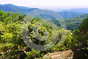 General view of Montseny. Catalonia