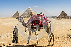 General view of Pyramids of Giza, Egypt