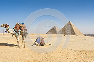 General view of Pyramids of Giza, Egypt