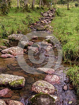 General view of a red tonned creek and rocks with some alder trees around it