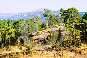 General view of Serrania de Cuenca photo