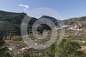 General view of the town of Bogarra photo