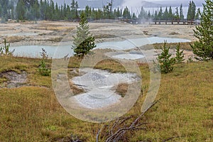 General view of West Thumb Geyser basin