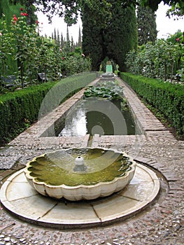 Generalife - Alhambra photo