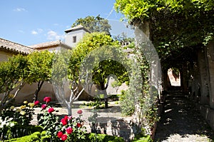 Generalife Garden in the Alhambra - Granada - Spain