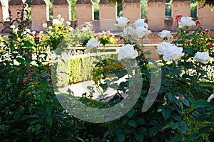 Generalife Garden details of Alhambra Palace from Granada City. Spain