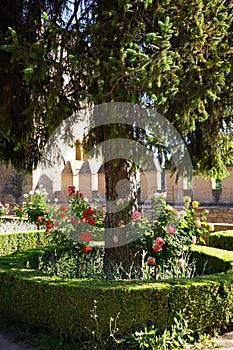 Generalife Garden details of Alhambra Palace from Granada City. Spain