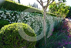 Generalife Garden details of Alhambra Palace from Granada City. Spain