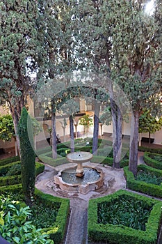 Generalife Garden scene of Alhambra Palace from Granada City. Spain