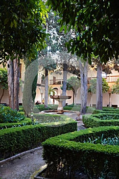 Generalife Garden scene of Alhambra Palace from Granada City. Spain
