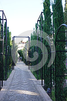 Generalife Garden scene of Alhambra Palace from Granada City. Spain