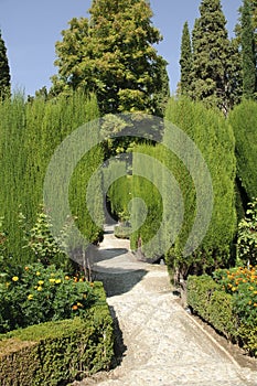 Generalife gardens in Granada, Spain photo