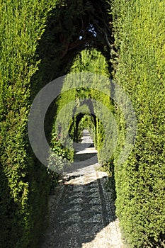 Generalife gardens in Granada, Spain