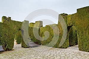 Generalife gardens, Granada, Spain