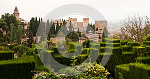 Generalife topiary inside the Alhambra palace